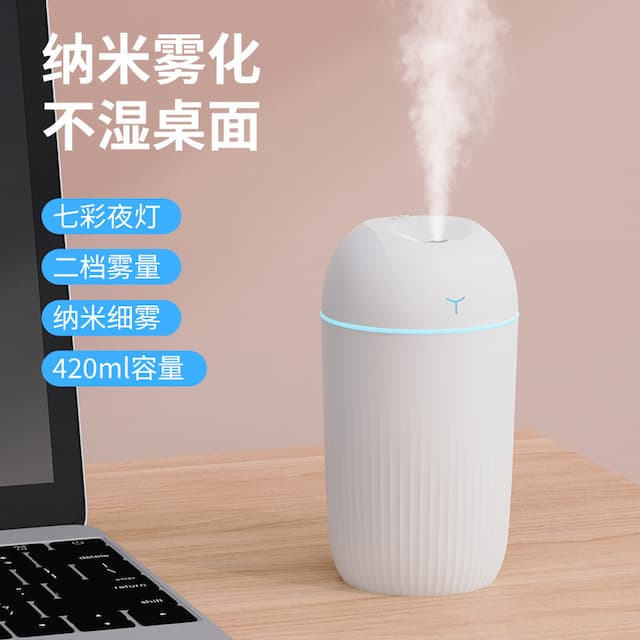 New USB Plug-in Humidifier Household Bedroom Desktop Small Portable Mini Heavy Mist Water Replenishing Spray Gift